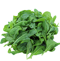 Arugula