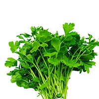 Parsley