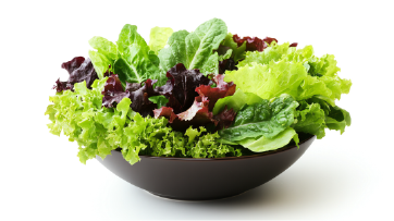 Fresh Organic Salad Bowl