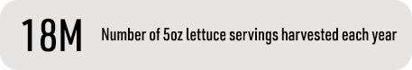 18M — Number of 5oz lettuce servings harvested each year